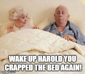WAKE UP HAROLD YOU CRAPPED THE BED AGAIN! | made w/ Imgflip meme maker