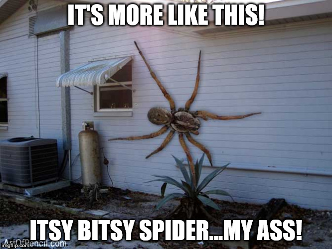 IT'S MORE LIKE THIS! ITSY BITSY SPIDER...MY ASS! | made w/ Imgflip meme maker