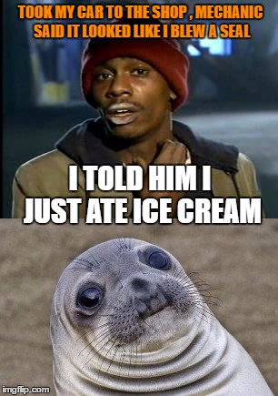 Auto mechanic joke | TOOK MY CAR TO THE SHOP , MECHANIC SAID IT LOOKED LIKE I BLEW A SEAL; I TOLD HIM I JUST ATE ICE CREAM | image tagged in cars,seal | made w/ Imgflip meme maker