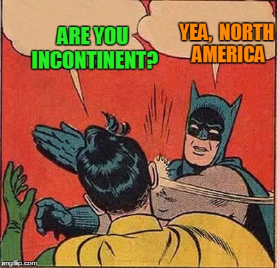 Batman Slapping Robin Meme | ARE YOU INCONTINENT? YEA,  NORTH AMERICA | image tagged in memes,batman slapping robin | made w/ Imgflip meme maker