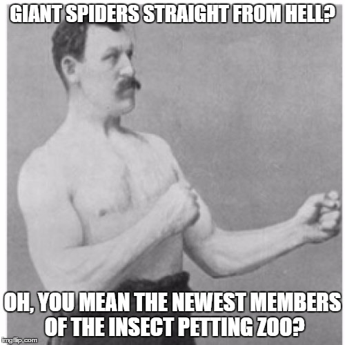 Overly Manly Man | GIANT SPIDERS STRAIGHT FROM HELL? OH, YOU MEAN THE NEWEST MEMBERS OF THE INSECT PETTING ZOO? | image tagged in memes,overly manly man,spiders | made w/ Imgflip meme maker