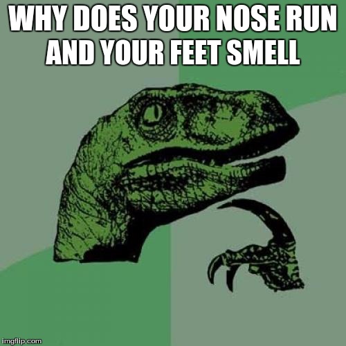 Philosoraptor | WHY DOES YOUR NOSE RUN; AND YOUR FEET SMELL | image tagged in memes,philosoraptor | made w/ Imgflip meme maker