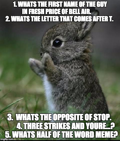 Cute Bunny | 1. WHATS THE FIRST NAME OF THE GUY IN FRESH PRICE OF BELL AIR.
       2. WHATS THE LETTER THAT COMES AFTER T. 3.  WHATS THE OPPOSITE OF STOP.
        4. THREE STRIKES AND YOURE...? 
5. WHATS HALF OF THE WORD MEME? | image tagged in cute bunny | made w/ Imgflip meme maker