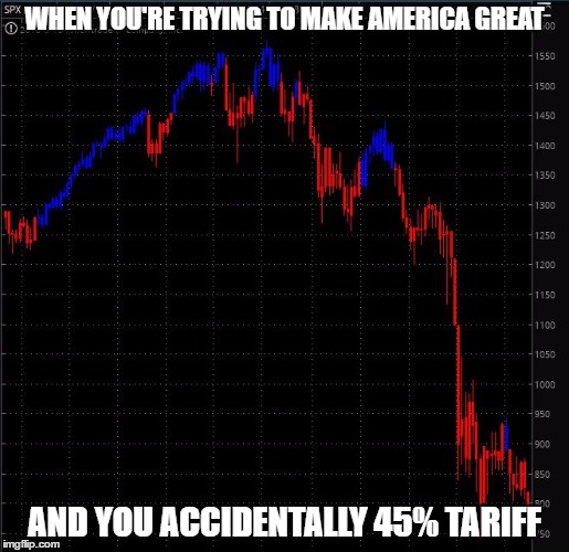 WHEN YOU'RE TRYING TO MAKE AMERICA GREAT AND YOU ACCIDENTALLY 45% TARIFF | image tagged in stock crash | made w/ Imgflip meme maker