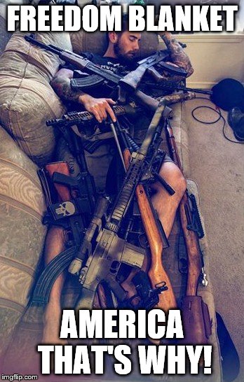 GUNS | FREEDOM BLANKET; AMERICA THAT'S WHY! | image tagged in guns | made w/ Imgflip meme maker
