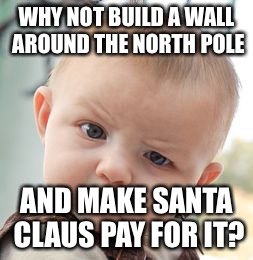 Skeptical Baby Meme | WHY NOT BUILD A WALL AROUND THE NORTH POLE AND MAKE SANTA CLAUS PAY FOR IT? | image tagged in memes,skeptical baby | made w/ Imgflip meme maker