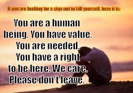 Sad guy on the beach | You are a human being. You have value. You are needed. You have a right to be here. We care.  Please don't leave. If you are looking for a sign not to kill yourself, here it is: | image tagged in sad guy on the beach | made w/ Imgflip meme maker