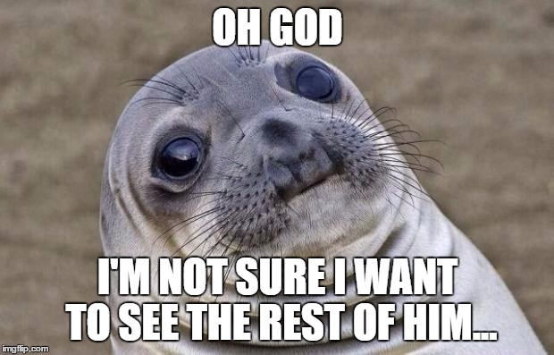 Awkward Moment Sealion Meme | OH GOD I'M NOT SURE I WANT TO SEE THE REST OF HIM... | image tagged in memes,awkward moment sealion | made w/ Imgflip meme maker