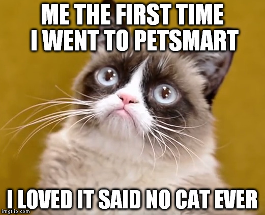 ME THE FIRST TIME I WENT TO PETSMART; I LOVED IT SAID NO CAT EVER | image tagged in lp | made w/ Imgflip meme maker