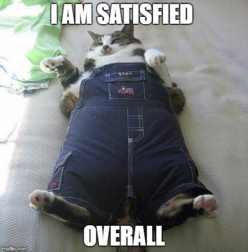 I AM SATISFIED; OVERALL | made w/ Imgflip meme maker