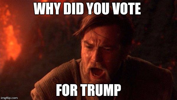 You Were The Chosen One (Star Wars) | WHY DID YOU VOTE; FOR TRUMP | image tagged in memes,you were the chosen one star wars | made w/ Imgflip meme maker