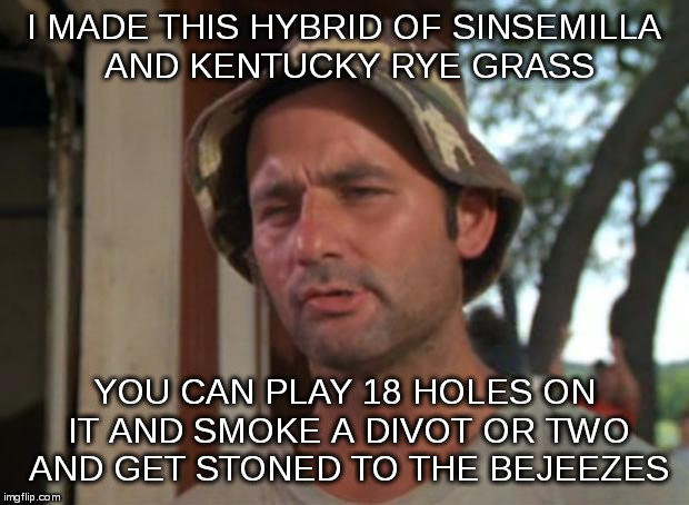 Yeah Mon, bring it on! Carl's best invention yet. | I MADE THIS HYBRID OF SINSEMILLA AND KENTUCKY RYE GRASS; YOU CAN PLAY 18 HOLES ON IT AND SMOKE A DIVOT OR TWO AND GET STONED TO THE BEJEEZES | image tagged in memes,so i got that goin for me which is nice | made w/ Imgflip meme maker