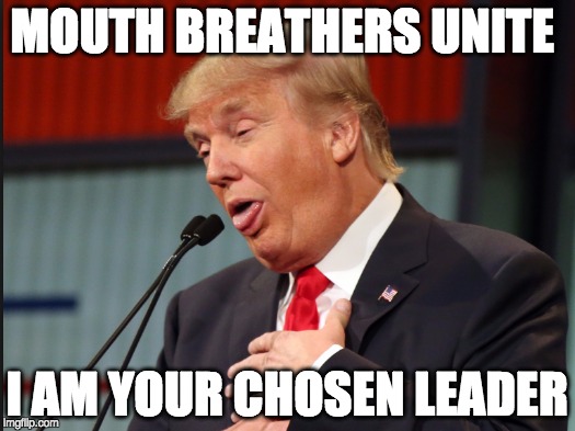I am your leader mouth breathers | MOUTH BREATHERS UNITE; I AM YOUR CHOSEN LEADER | image tagged in donald trump approves | made w/ Imgflip meme maker