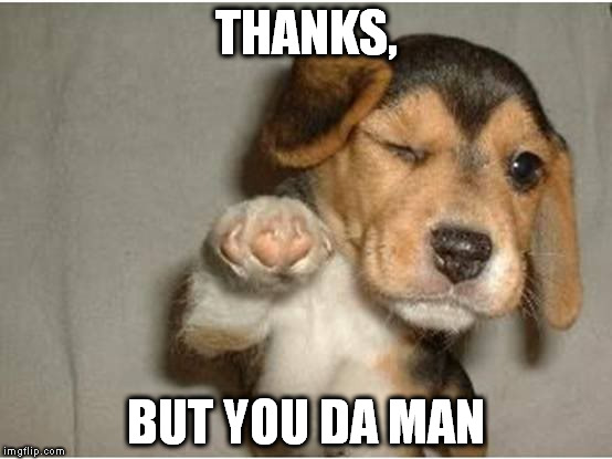 You Da Man! | THANKS, BUT YOU DA MAN | image tagged in you da man | made w/ Imgflip meme maker