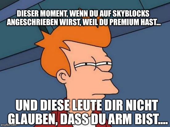 Futurama Fry Meme | DIESER MOMENT, WENN DU AUF SKYBLOCKS ANGESCHRIEBEN WIRST, WEIL DU PREMIUM HAST... UND DIESE LEUTE DIR NICHT GLAUBEN, DASS DU ARM BIST.... | image tagged in memes,futurama fry | made w/ Imgflip meme maker