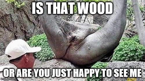 IS THAT WOOD OR ARE YOU JUST HAPPY TO SEE ME | made w/ Imgflip meme maker