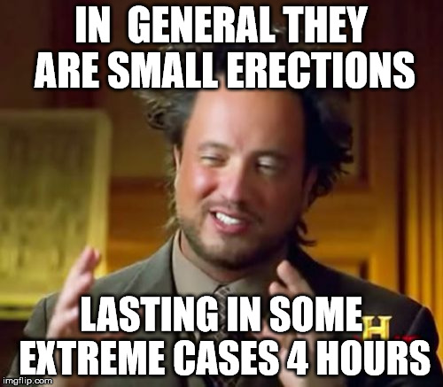 Ancient Aliens Meme | IN  GENERAL THEY ARE SMALL ERECTIONS LASTING IN SOME EXTREME CASES 4 HOURS | image tagged in memes,ancient aliens | made w/ Imgflip meme maker