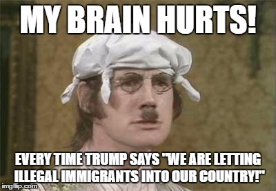 Monty Python brain hurt | MY BRAIN HURTS! EVERY TIME TRUMP SAYS "WE ARE LETTING ILLEGAL IMMIGRANTS INTO OUR COUNTRY!" | image tagged in monty python brain hurt | made w/ Imgflip meme maker