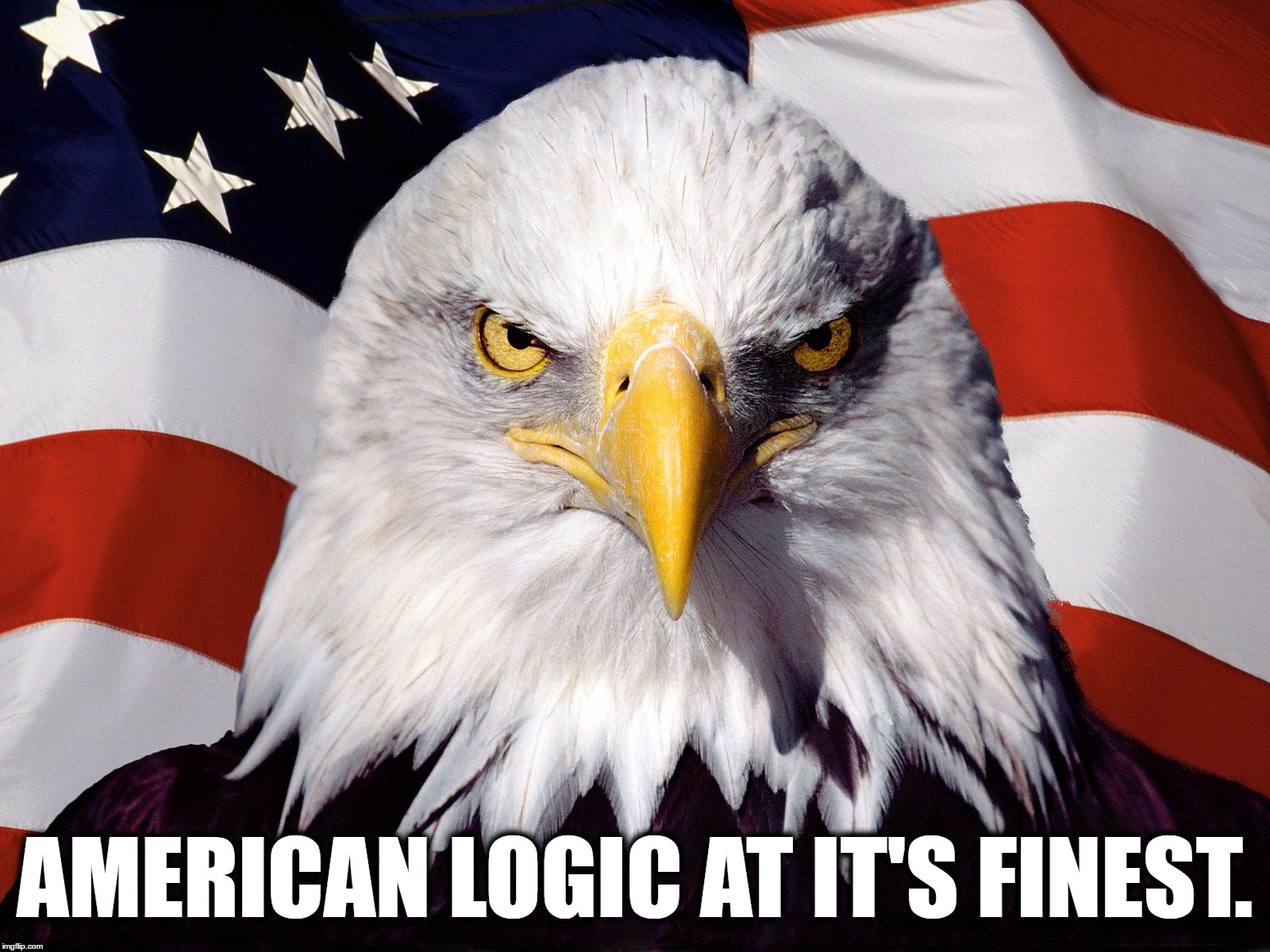 AMERICAN LOGIC AT IT'S FINEST. | made w/ Imgflip meme maker