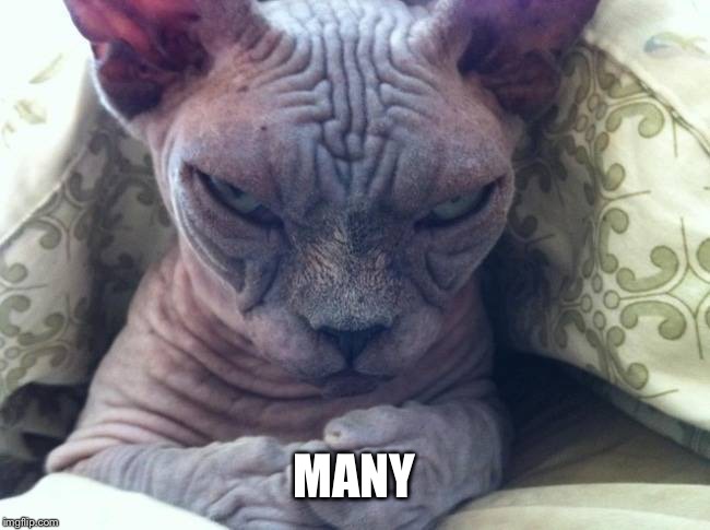 MANY | made w/ Imgflip meme maker