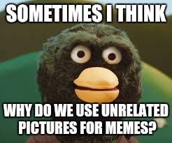 dhmis | SOMETIMES I THINK; WHY DO WE USE UNRELATED PICTURES FOR MEMES? | image tagged in dhmis | made w/ Imgflip meme maker