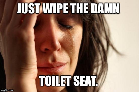 First World Problems Meme | JUST WIPE THE DAMN TOILET SEAT. | image tagged in memes,first world problems | made w/ Imgflip meme maker