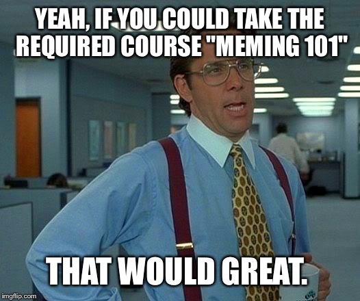And meming 201 commenting policy, 301 how to not be a troll an then 401 the leaderboard dynamics  | YEAH, IF YOU COULD TAKE THE REQUIRED COURSE "MEMING 101"; THAT WOULD GREAT. | image tagged in memes,that would be great | made w/ Imgflip meme maker
