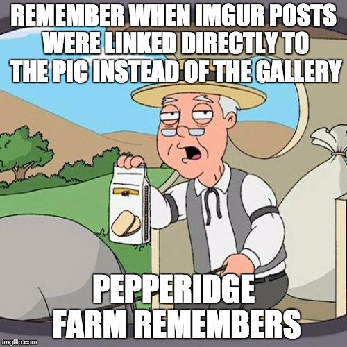 Pepperidge Farm Remembers Meme | REMEMBER WHEN IMGUR POSTS WERE LINKED DIRECTLY TO THE PIC INSTEAD OF THE GALLERY; PEPPERIDGE FARM REMEMBERS | image tagged in memes,pepperidge farm remembers,AdviceAnimals | made w/ Imgflip meme maker