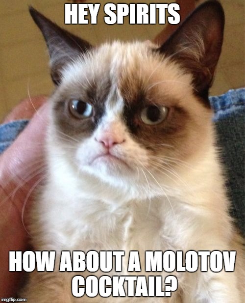 Grumpy Cat Meme | HEY SPIRITS HOW ABOUT A MOLOTOV COCKTAIL? | image tagged in memes,grumpy cat | made w/ Imgflip meme maker
