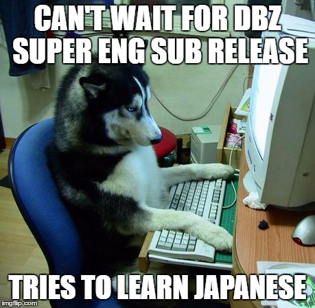 I Have No Idea What I Am Doing | CAN'T WAIT FOR DBZ SUPER ENG SUB RELEASE; TRIES TO LEARN JAPANESE | image tagged in memes,i have no idea what i am doing | made w/ Imgflip meme maker