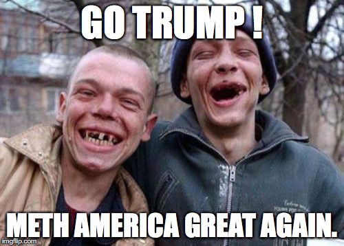 Ugly Twins | GO TRUMP ! METH AMERICA GREAT AGAIN. | image tagged in memes,ugly twins,meth,trump,make america great again | made w/ Imgflip meme maker