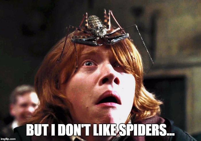 BUT I DON'T LIKE SPIDERS... | made w/ Imgflip meme maker