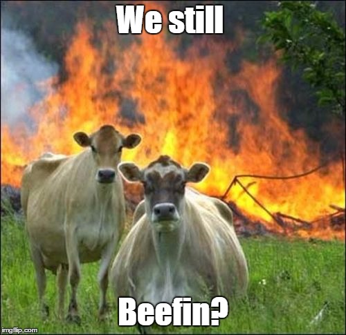 Evil Cows Meme | We still; Beefin? | image tagged in memes,evil cows | made w/ Imgflip meme maker