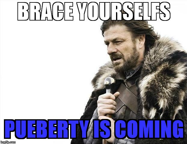 Brace Yourselves X is Coming | BRACE YOURSELFS; PUEBERTY IS COMING | image tagged in memes,brace yourselves x is coming | made w/ Imgflip meme maker