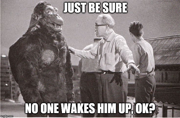 Kong with Director | JUST BE SURE NO ONE WAKES HIM UP, OK? | image tagged in kong with director | made w/ Imgflip meme maker