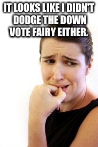 IT LOOKS LIKE I DIDN'T DODGE THE DOWN VOTE FAIRY EITHER. | made w/ Imgflip meme maker