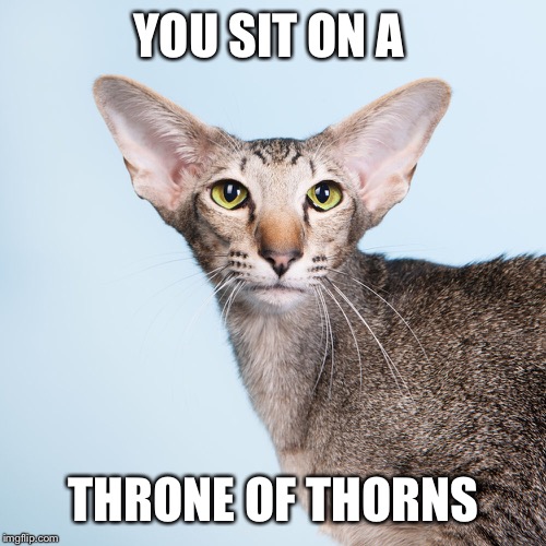 YOU SIT ON A THRONE OF THORNS | made w/ Imgflip meme maker