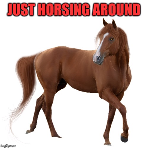 JUST HORSING AROUND | made w/ Imgflip meme maker