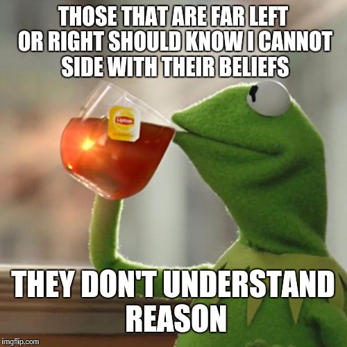 But That's None Of My Business | THOSE THAT ARE FAR LEFT OR RIGHT SHOULD KNOW I CANNOT SIDE WITH THEIR BELIEFS; THEY DON'T UNDERSTAND REASON | image tagged in memes,but thats none of my business,kermit the frog | made w/ Imgflip meme maker