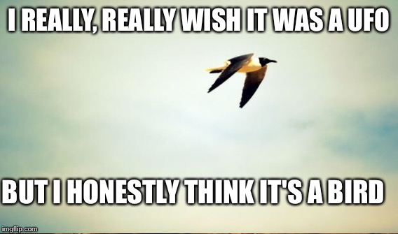 I REALLY, REALLY WISH IT WAS A UFO BUT I HONESTLY THINK IT'S A BIRD | made w/ Imgflip meme maker