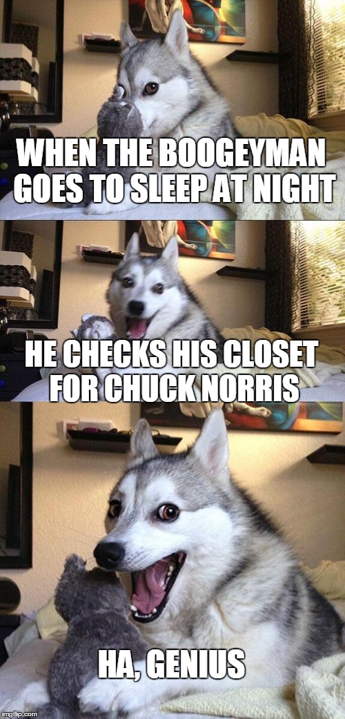 Bad Pun Dog Meme | WHEN THE BOOGEYMAN GOES TO SLEEP AT NIGHT; HE CHECKS HIS CLOSET FOR CHUCK NORRIS; HA, GENIUS | image tagged in memes,bad pun dog | made w/ Imgflip meme maker