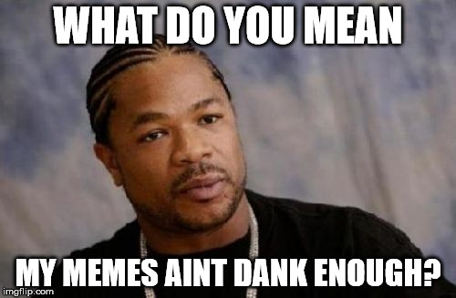 Serious Xzibit Meme | WHAT DO YOU MEAN; MY MEMES AINT DANK ENOUGH? | image tagged in memes,serious xzibit | made w/ Imgflip meme maker