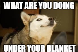 What are you doing? | WHAT ARE YOU DOING; UNDER YOUR BLANKET | image tagged in shocked,masterbation,disgusted,mad,funny memes,memes | made w/ Imgflip meme maker