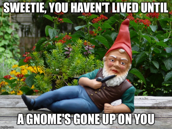SWEETIE, YOU HAVEN'T LIVED UNTIL A GNOME'S GONE UP ON YOU | made w/ Imgflip meme maker