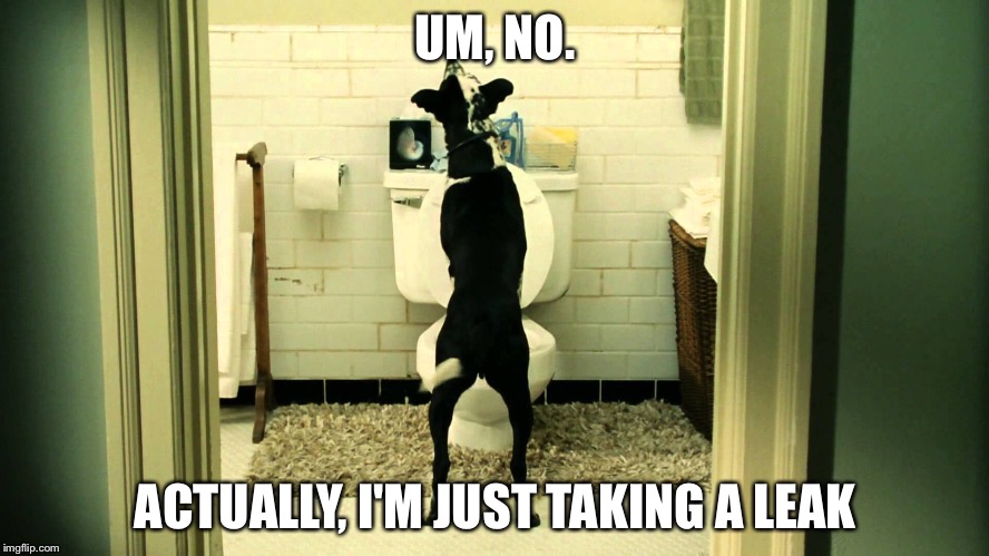 UM, NO. ACTUALLY, I'M JUST TAKING A LEAK | made w/ Imgflip meme maker