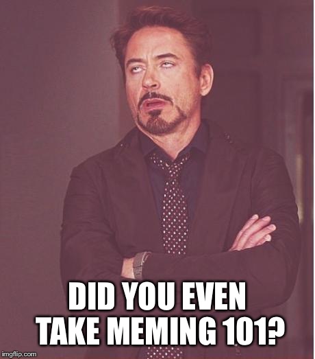 Face You Make Robert Downey Jr Meme | DID YOU EVEN TAKE MEMING 101? | image tagged in memes,face you make robert downey jr | made w/ Imgflip meme maker