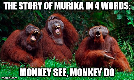 THE STORY OF MURIKA IN 4 WORDS: MONKEY SEE, MONKEY DO | made w/ Imgflip meme maker