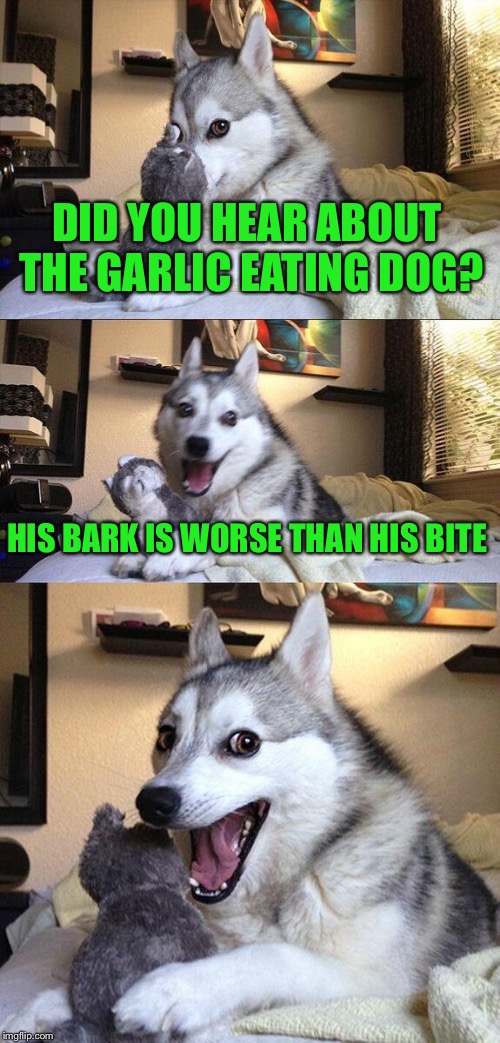 Bad Pun Dog Meme | DID YOU HEAR ABOUT THE GARLIC EATING DOG? HIS BARK IS WORSE THAN HIS BITE | image tagged in memes,bad pun dog | made w/ Imgflip meme maker