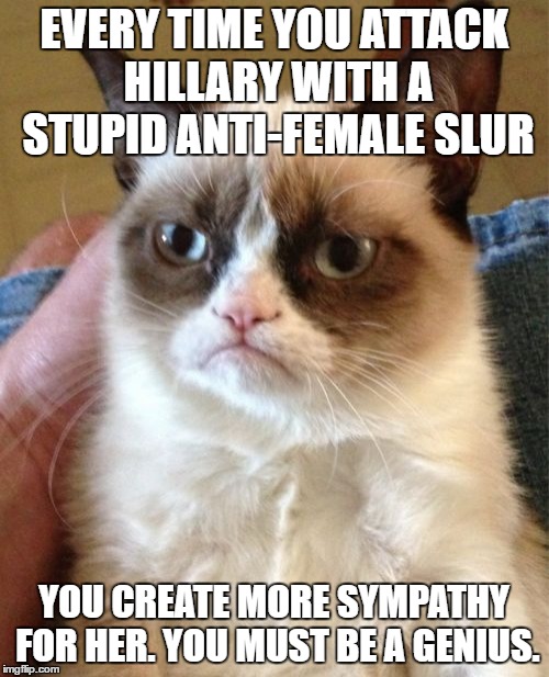 Grumpy Cat Meme | EVERY TIME YOU ATTACK HILLARY WITH A STUPID ANTI-FEMALE SLUR; YOU CREATE MORE SYMPATHY FOR HER. YOU MUST BE A GENIUS. | image tagged in memes,grumpy cat | made w/ Imgflip meme maker