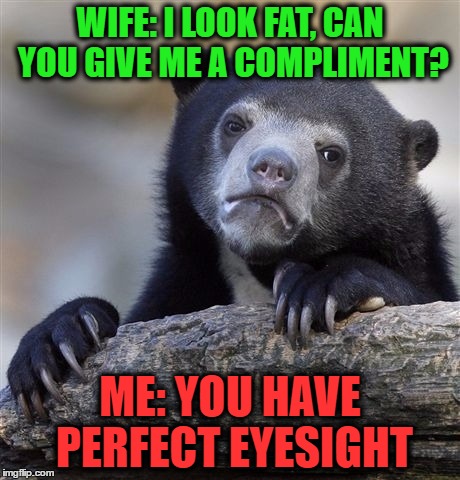 Confession Bear | WIFE: I LOOK FAT, CAN YOU GIVE ME A COMPLIMENT? ME: YOU HAVE PERFECT EYESIGHT | image tagged in memes,confession bear | made w/ Imgflip meme maker